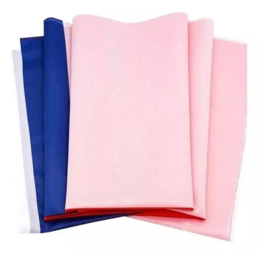 Bandera Chilena 90x150 Cm Fiestas Patrias
