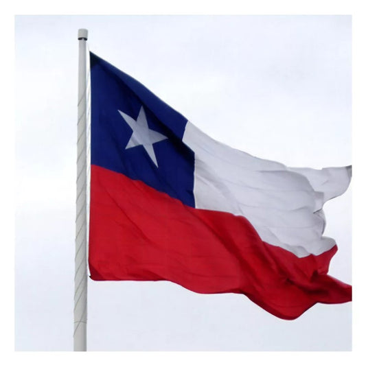 Bandera Chilena 90x150 Cm Fiestas Patrias